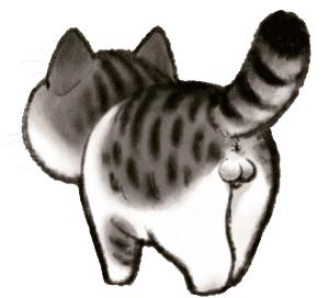 8个猫咪「性」的冷知识，务必背着主子看