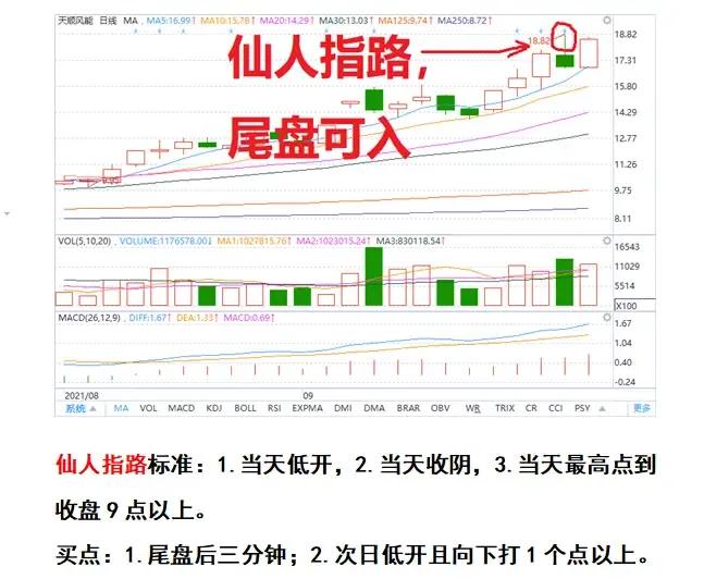 股票买卖高低点判断,股票做t的量价关系方法和技巧