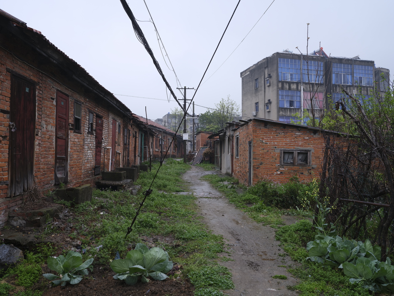 湖北三线536厂,三线厂汉丹机械厂