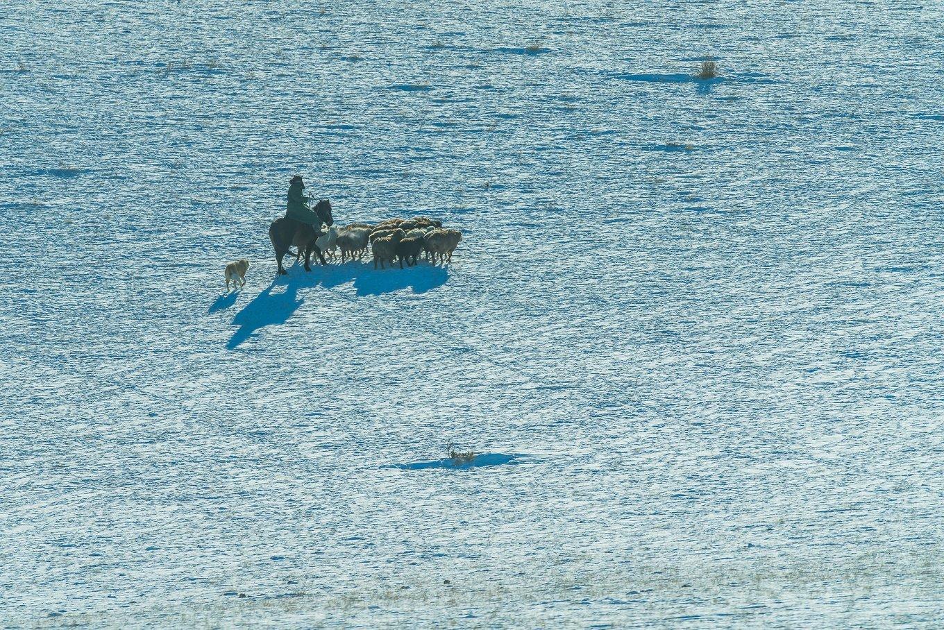 美西自驾游大环线,美西大环线自驾线路攻略