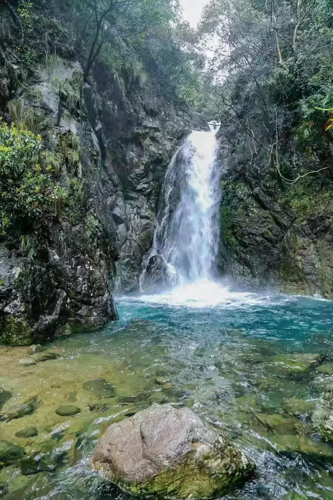 森林负离子度假酒店,负氧离子氧吧酒店