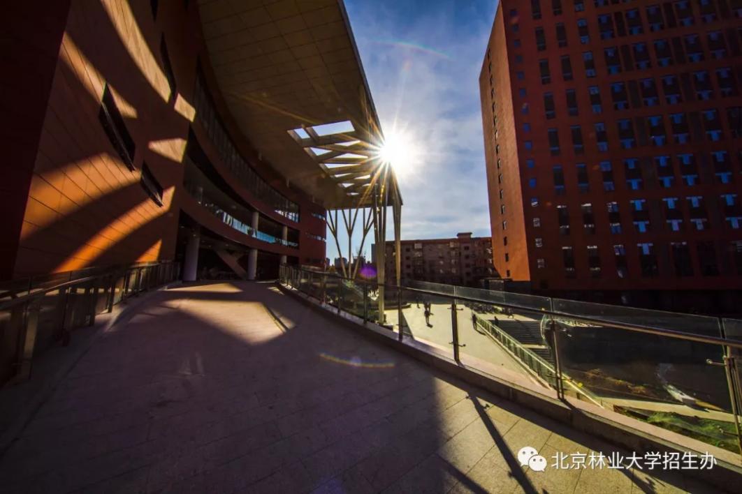 北京“绿色学府”:占地13176亩,坐拥8大餐厅,新华社、中央电视台聚焦关注!