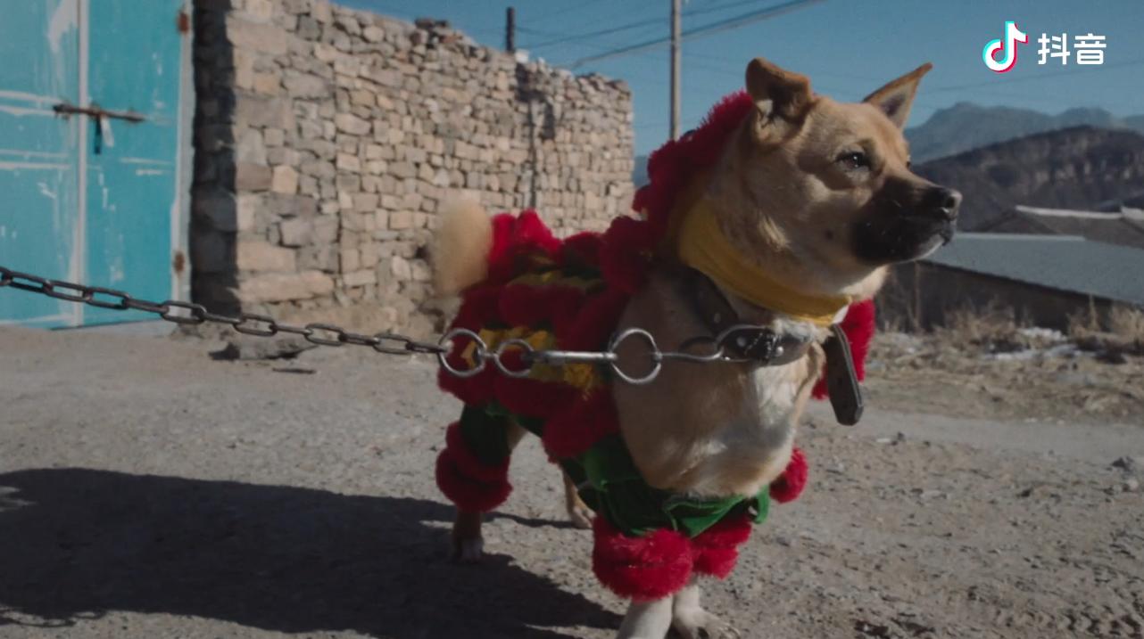 赵露思辣目洋子表演是什么节目,赵露思vs辣目洋子体操表演