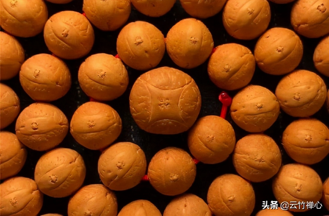 麒麟菩提跟凤眼菩提的价值,凤眼菩提为什么那么厉害