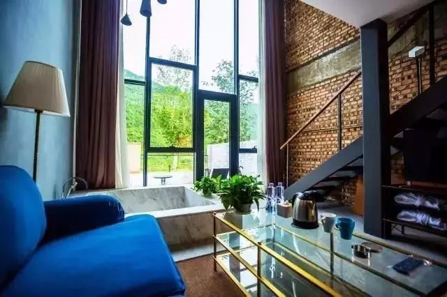 全国首家七星宠物度假酒店,最豪华的宠物酒店