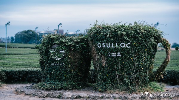 济州岛最值得去的地方,来济州岛第一天去哪玩