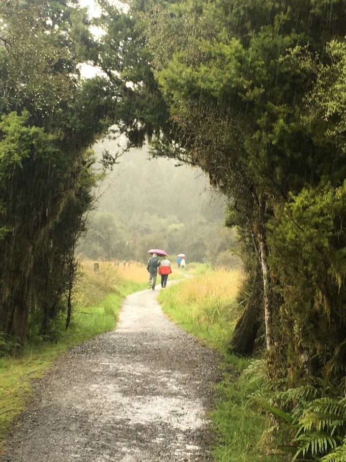 让你不用出门欣赏到美丽的风景,让你不出门你会待几天