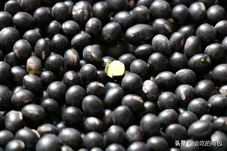 夏天黑豆的吃法和做法,夏季如何食用黑豆不上火