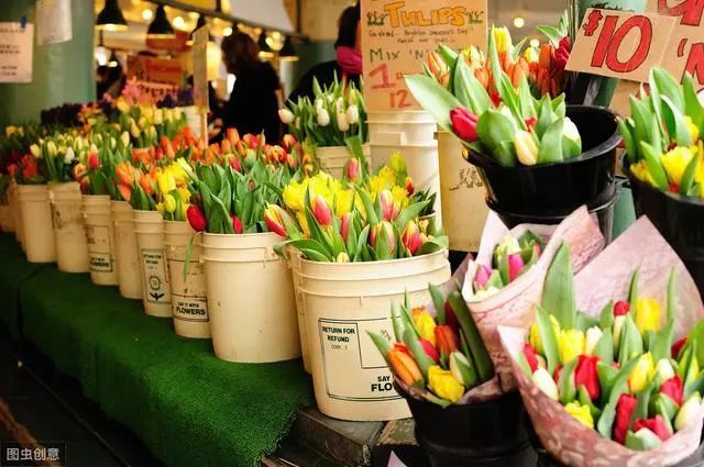 开花店花艺工作室,开花艺工作室怎么选