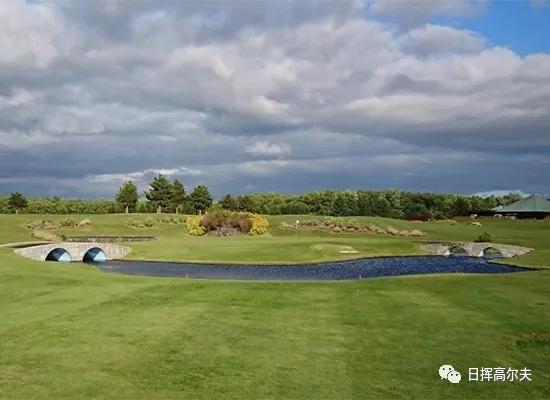 高尔夫球基本知识,高尔夫球的知识