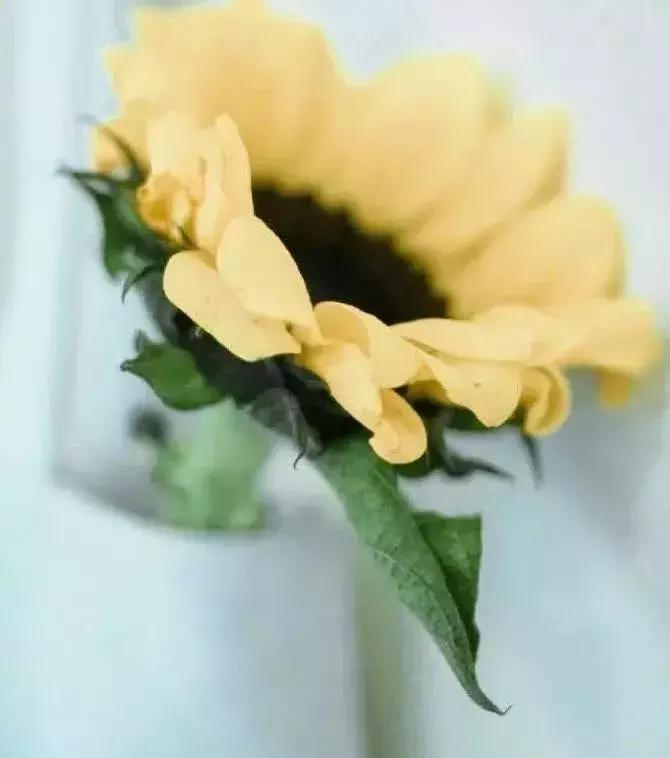 现在的成年人，总想在工作之外发生点别的关系