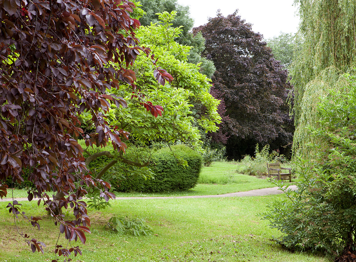 伦敦风格花园,伦敦联排别墅平面图