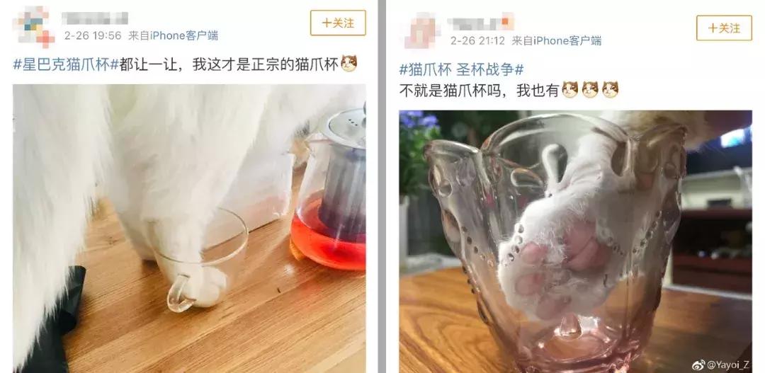 一只猫爪杯，让平静的江湖又掀起了一阵腥风血雨