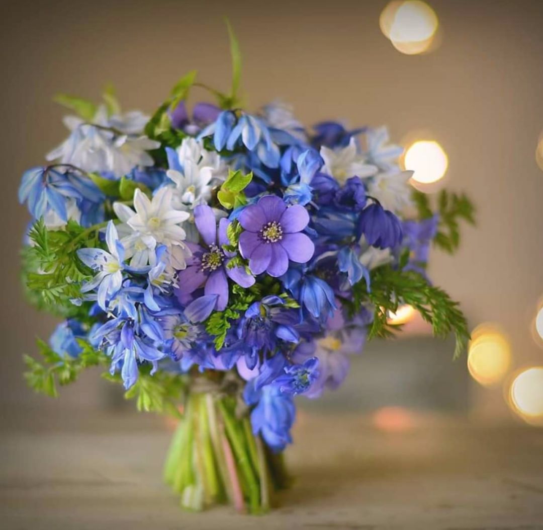 全球花艺播报最新战况,花艺发展趋势