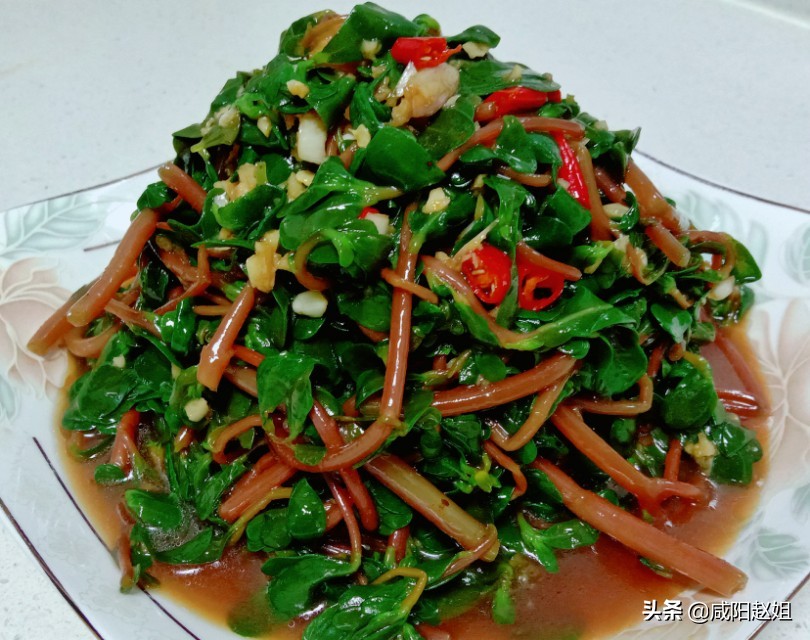 马齿苋凉拌的最简单做法,凉拌马齿苋的最正宗做法