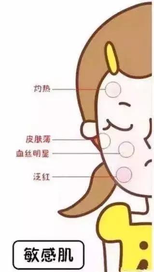 十大公认好用的水乳秋冬,秋冬怎样选水乳