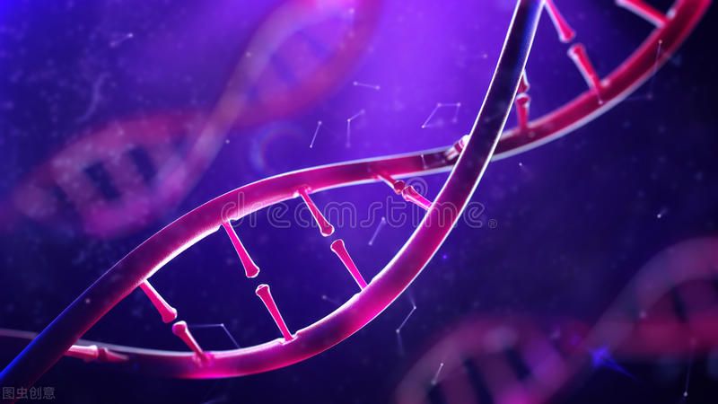 自己肚子里的孩子，竟然不是亲生的？神奇的“奇美拉现象”