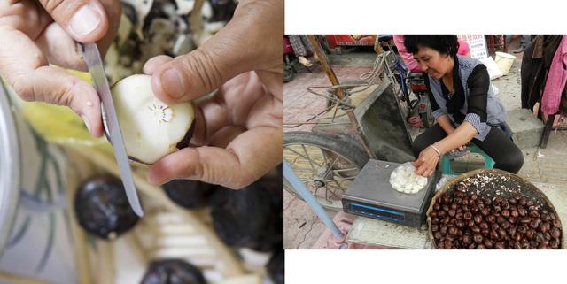 探索荸荠︱以及西关“泮塘五秀”是什么、何为江南“水八仙”？