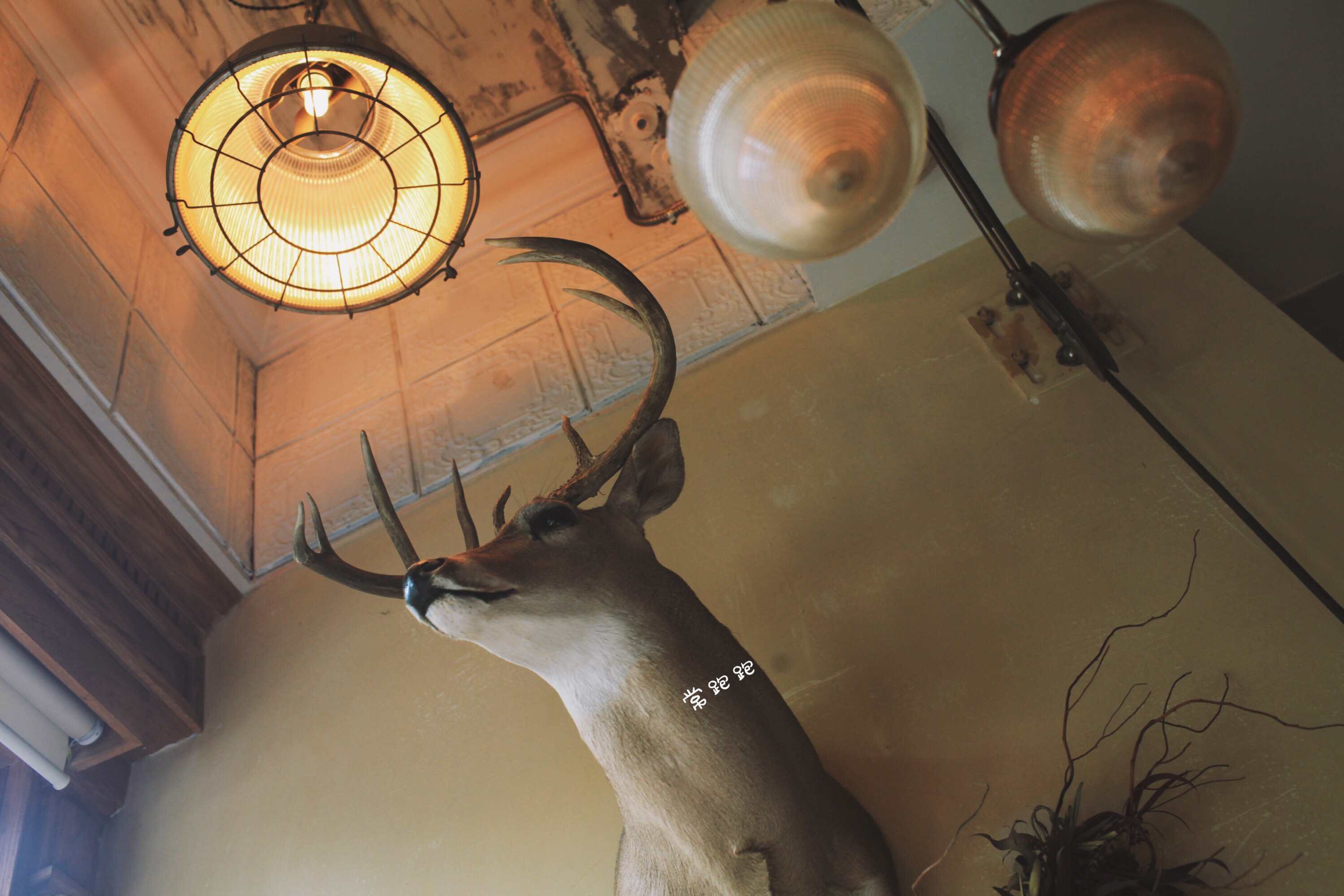 成都网红火锅烧烤,成都烧烤串串推荐