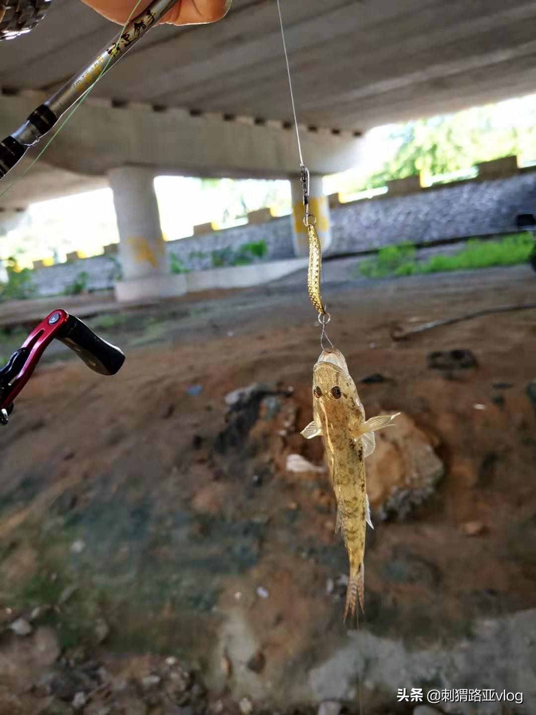 微物路亚亮片双钩钓组,路亚前导线双钩亮片绑法