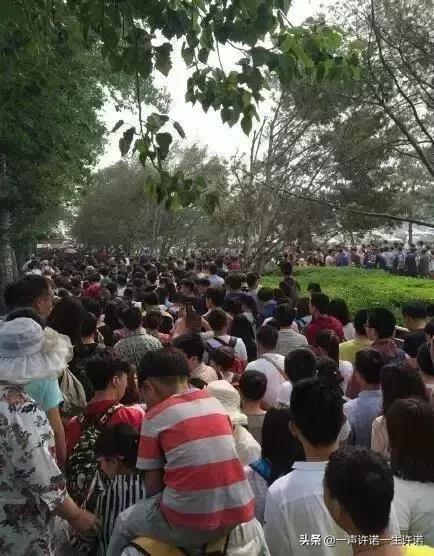 摄影师拍的照片到底有多好看,摄影师拍的不可思议的照片