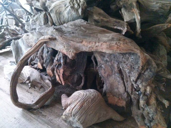 中国的核桃到底去哪里了,中国十大核桃之乡排名一览表