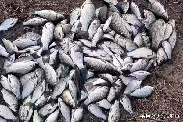 春天野钓的正确方法与技巧,早春钓鱼技巧分析