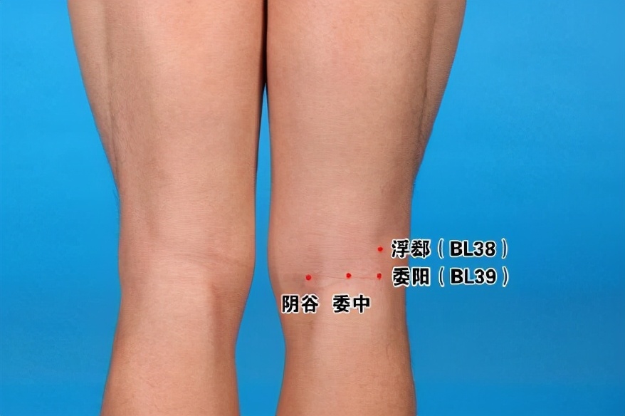 腘窝下一点是哪个穴位,大有乾坤的位置在哪里