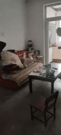 西安城六区中考两大批次录取顺序,西安中考城六区可以跨区录取吗