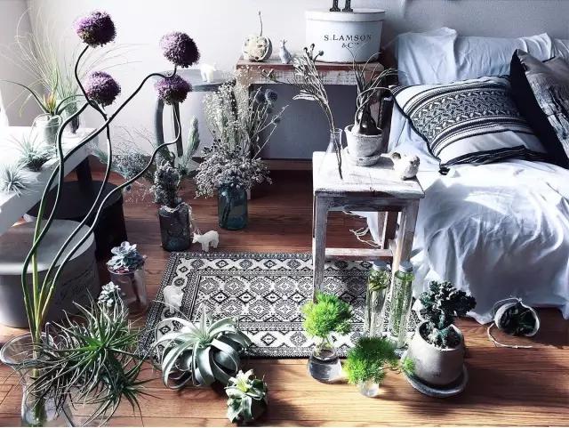 她用这种高颜值的干花装饰家里，隔壁邻居都惊叹不已