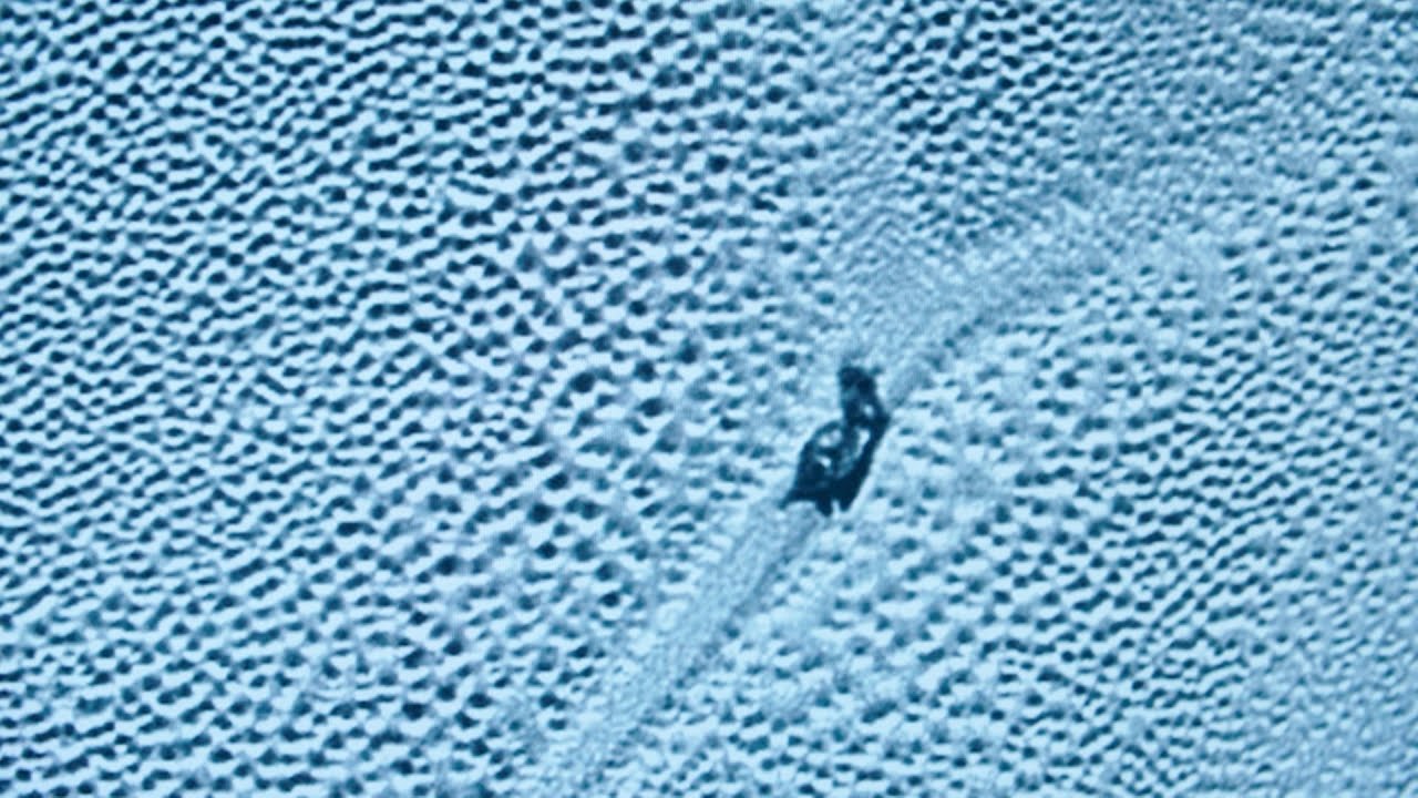 火星上的蘑菇，“外星人”的招呼，历史上5大误解的外星生命信号