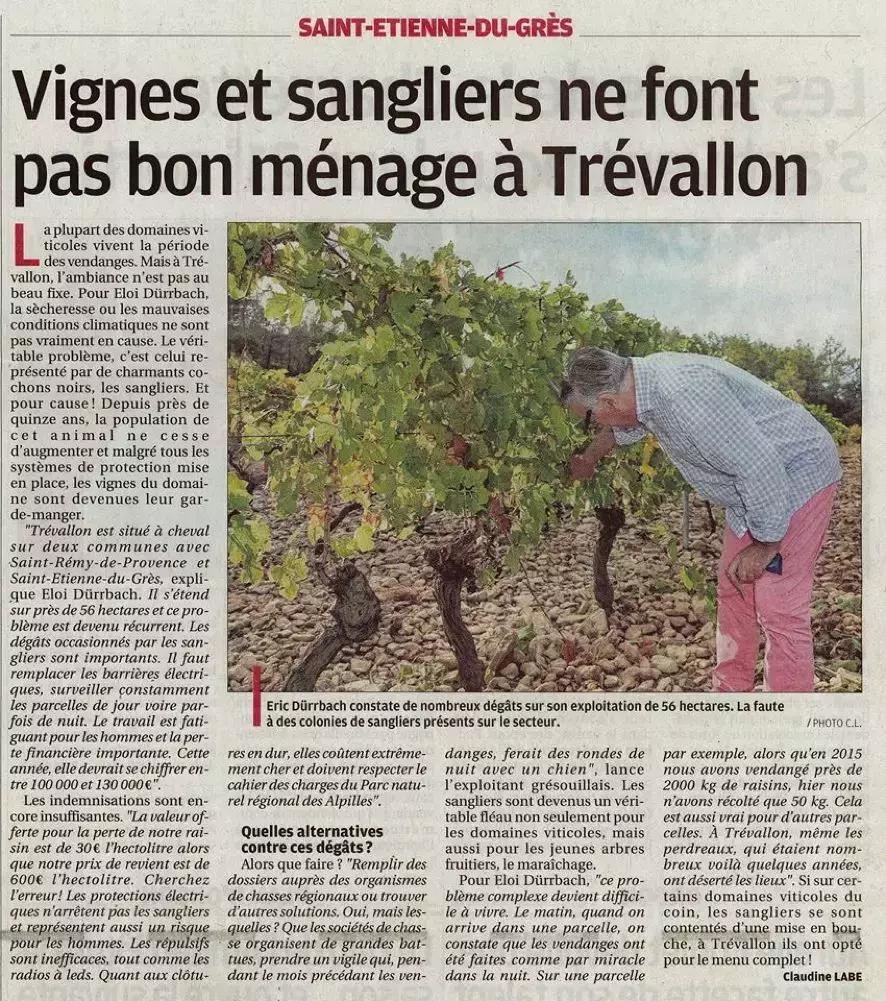 法国葡萄园干活,在法国上班