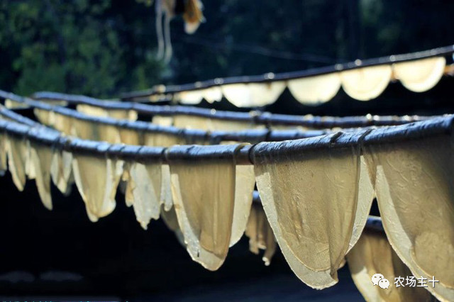 一千元小本创业农村,100个农村创业项目赚钱