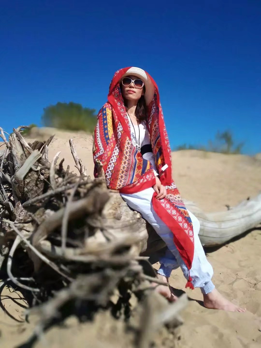 旅行去看草原美景,去草原撒欢视频