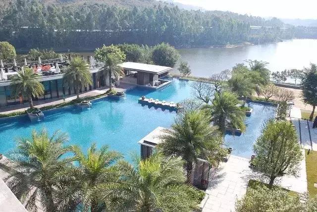 万科白天鹅鱼窝温泉,清远万科白天鹅温泉