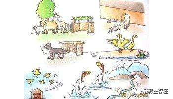 地震求生与自救技巧,生存狂在野外怎么逃生