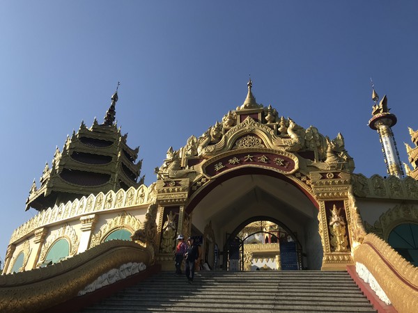 鑺掑競鍜岃吘鍐茬憺涓藉摢涓ソ,鑵惧啿鐟炰附鑺掑競瑗垮弻鐗堢撼