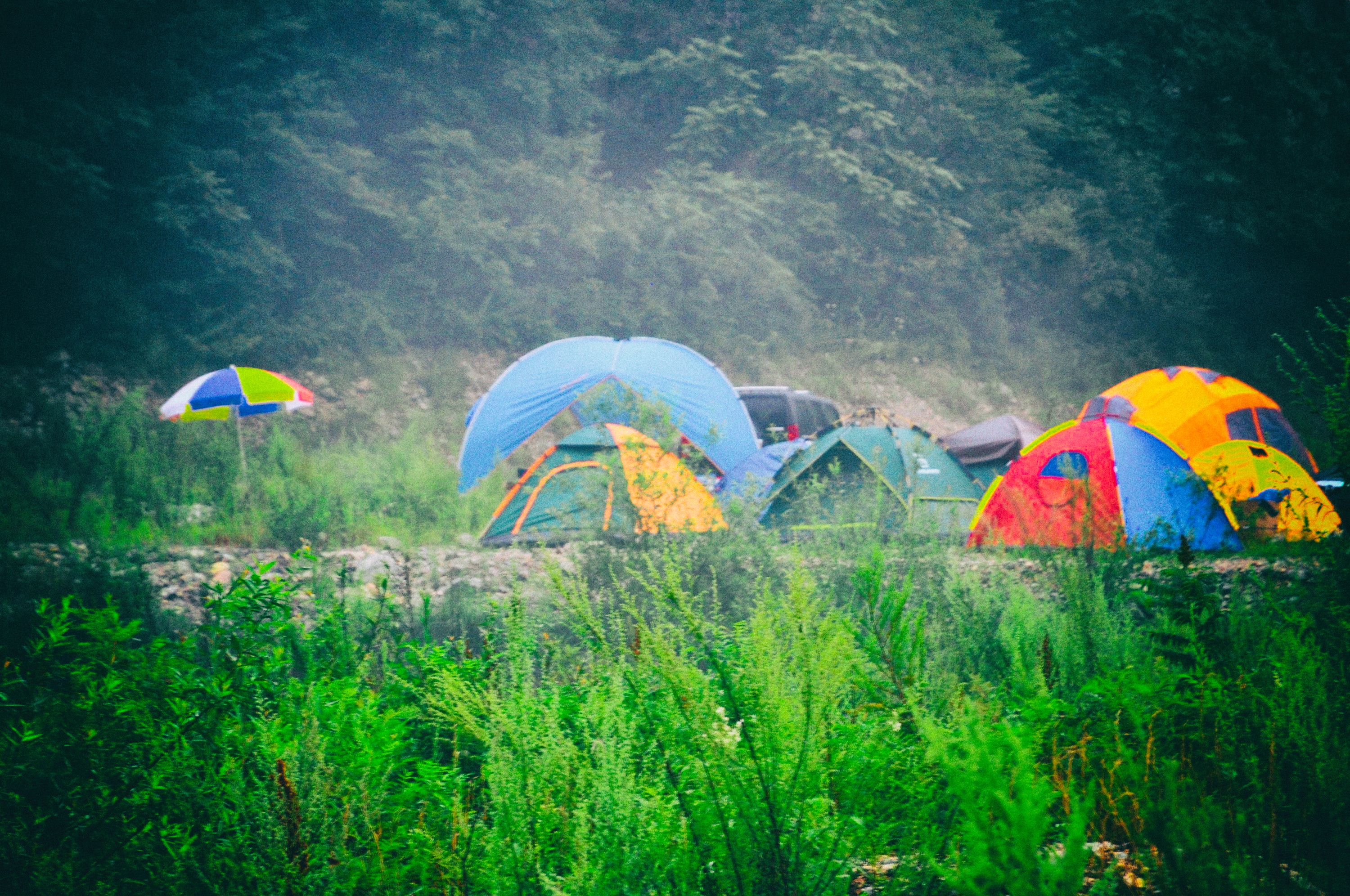 我的旅行群几百人，85%女性、我是群主，说说群里的那些奇葩事儿