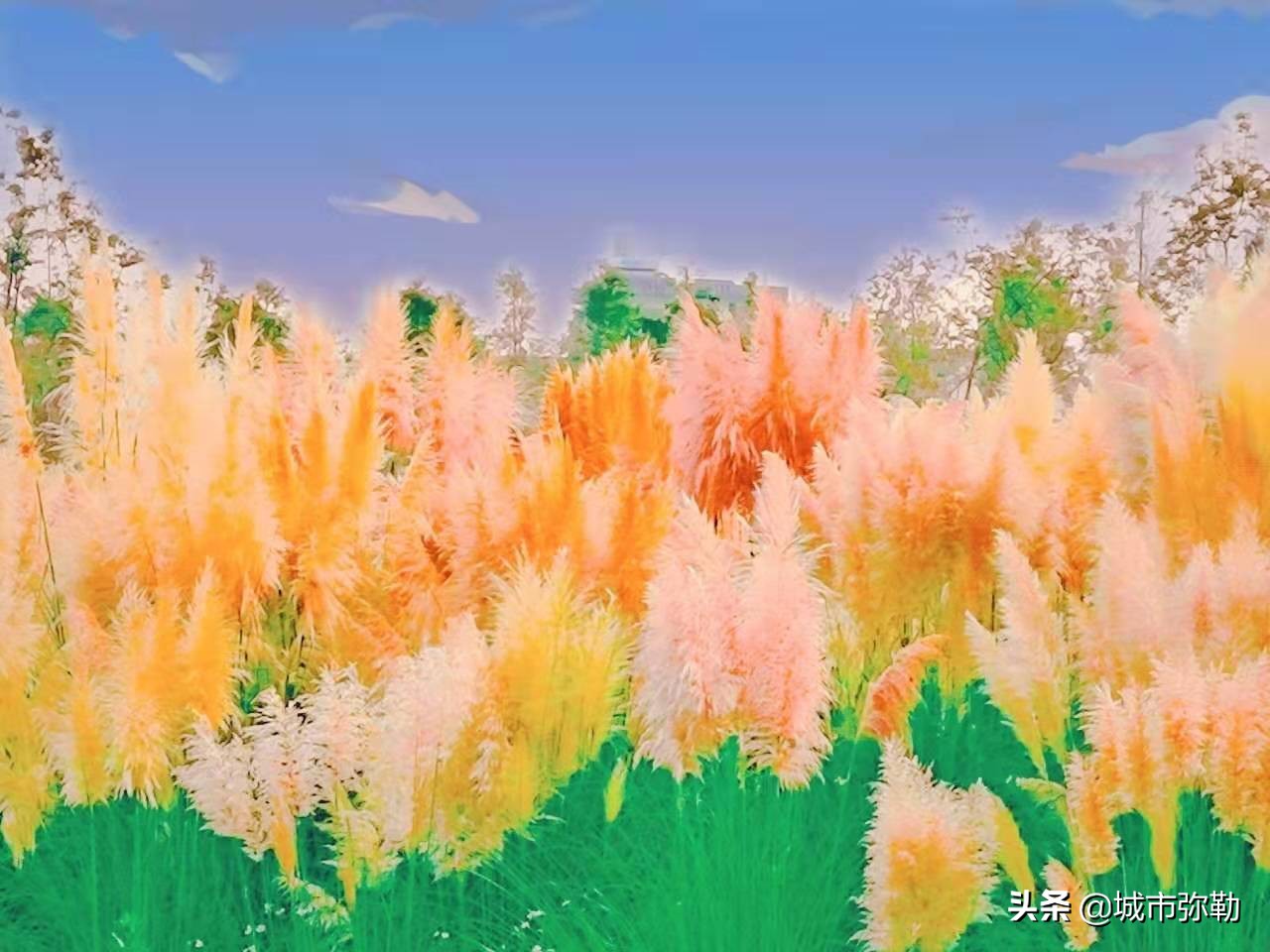 南山：怀孕的男人（组诗）