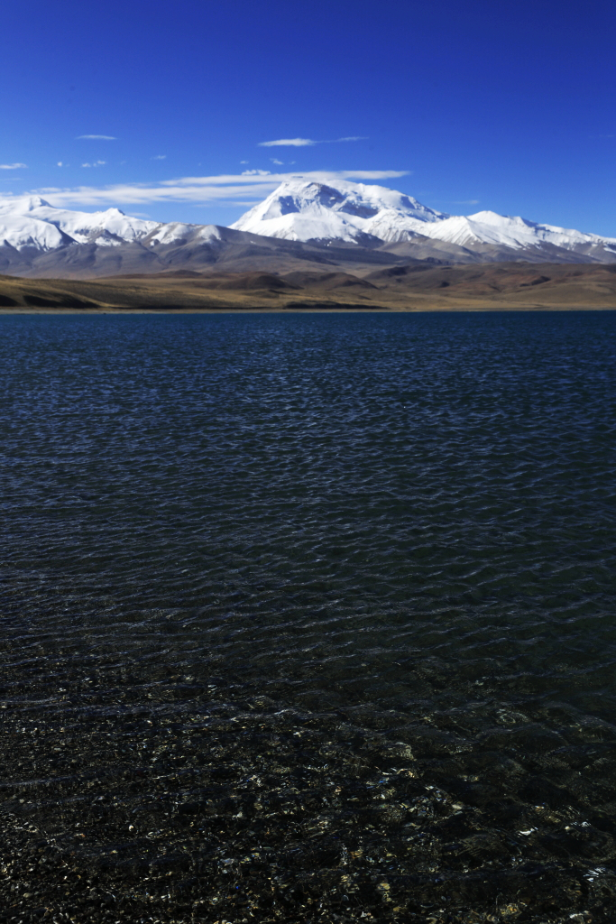 藏族不吃鱼有什么好处,为什么藏族的鱼不能吃