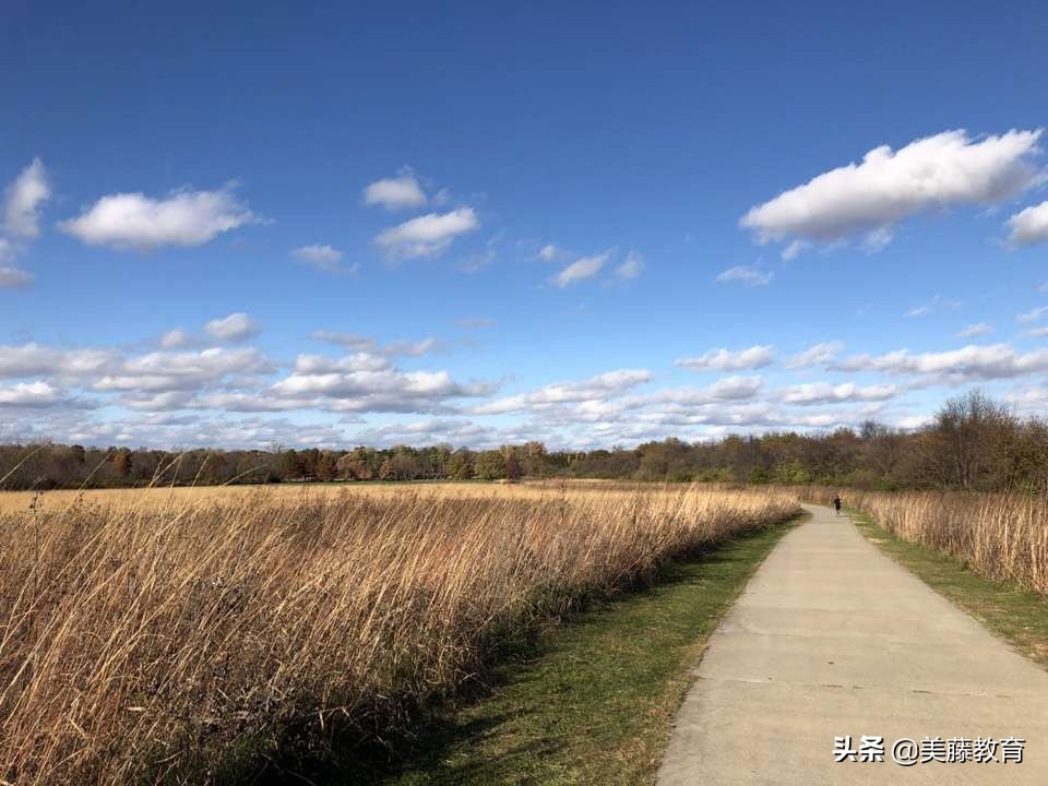 美国弗吉尼亚大学值得读吗,弗吉尼亚大学中国留学生数量