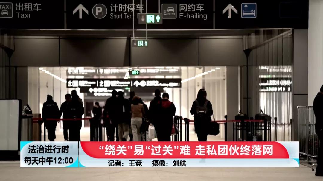 【BTV-我是检察官】认罪认罚背后的故事④：犯罪团伙*私走**高鼻羚羊角303根，价值606万元