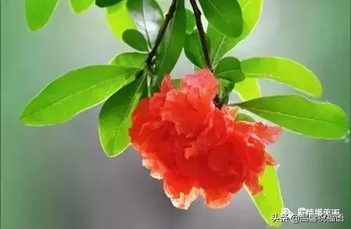 《家庭兴旺歌》《和谐歌》《夫妻歌》太绝了!句句精辟