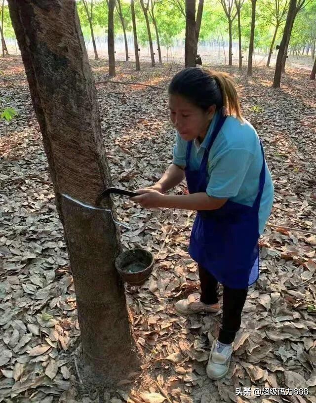 假的乳胶枕有什么危害,假的乳胶枕的危害有多大