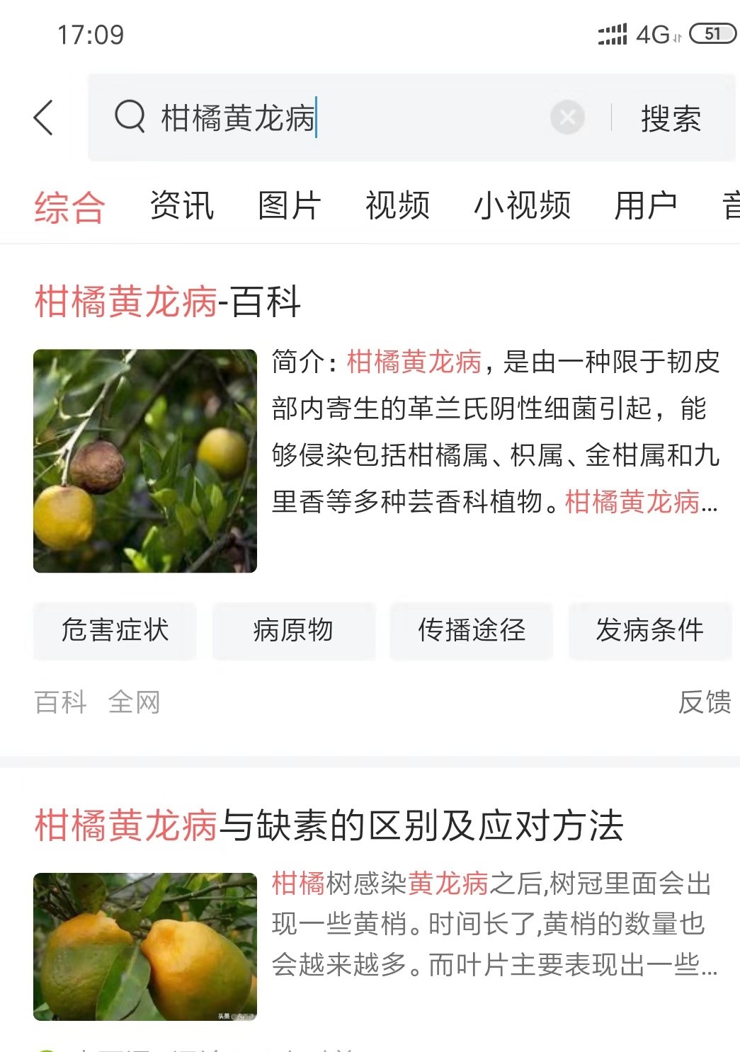 柑橘黄龙病靠什么传播,柑橘黄龙病危害部位