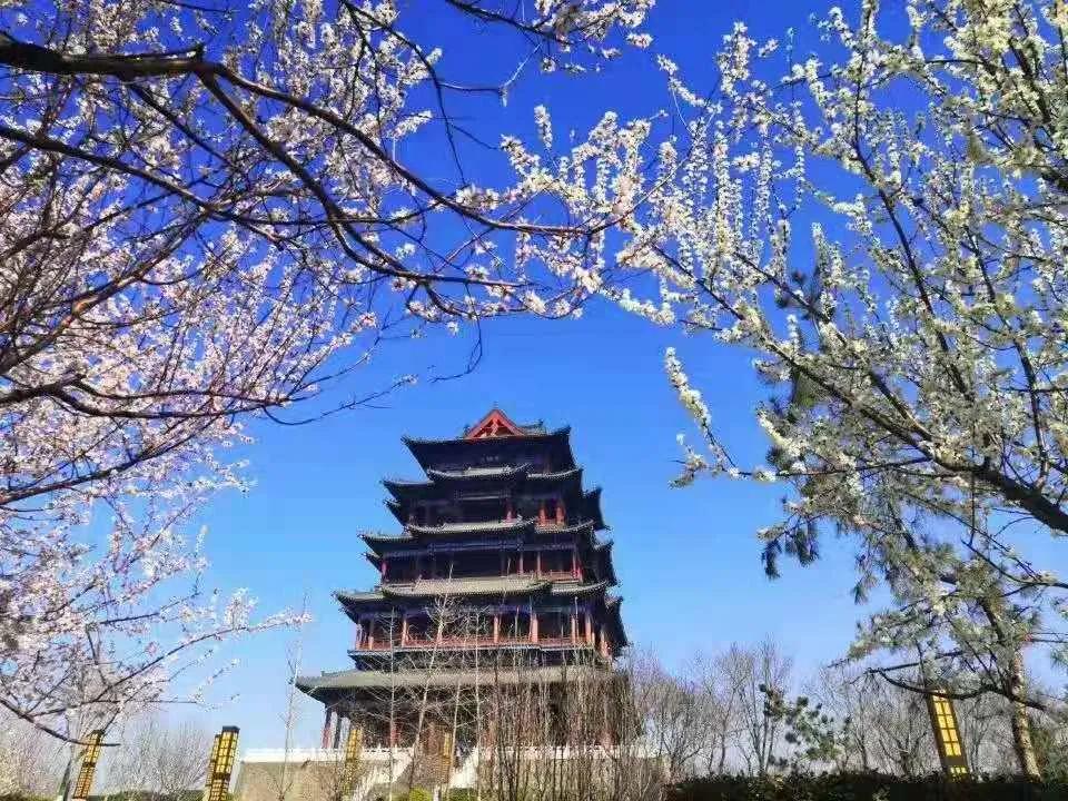 亲历揭秘:我为何要在迁安等你?