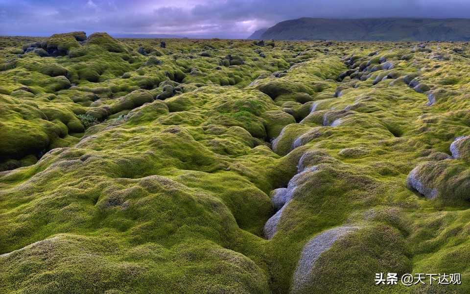 冰岛｜北大西洋中的一个岛国，人口约为34万，首都是雷克雅未克