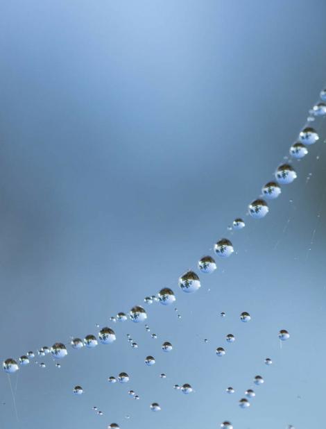 期货交易逻辑详解集合,期货交易涨跌的逻辑