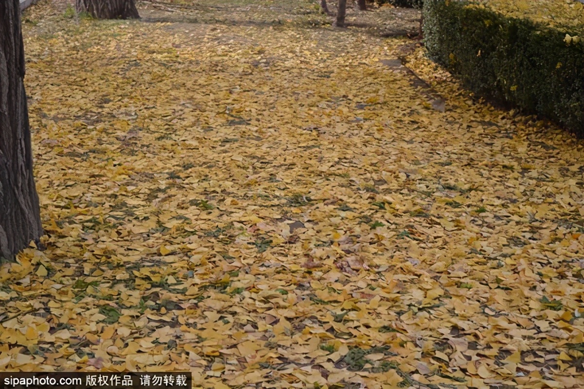 打卡北京十大古迹,打卡北京100个景点