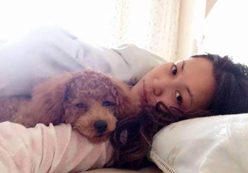 泰迪喜欢睡在主人的旁边,泰迪喜欢睡人旁边